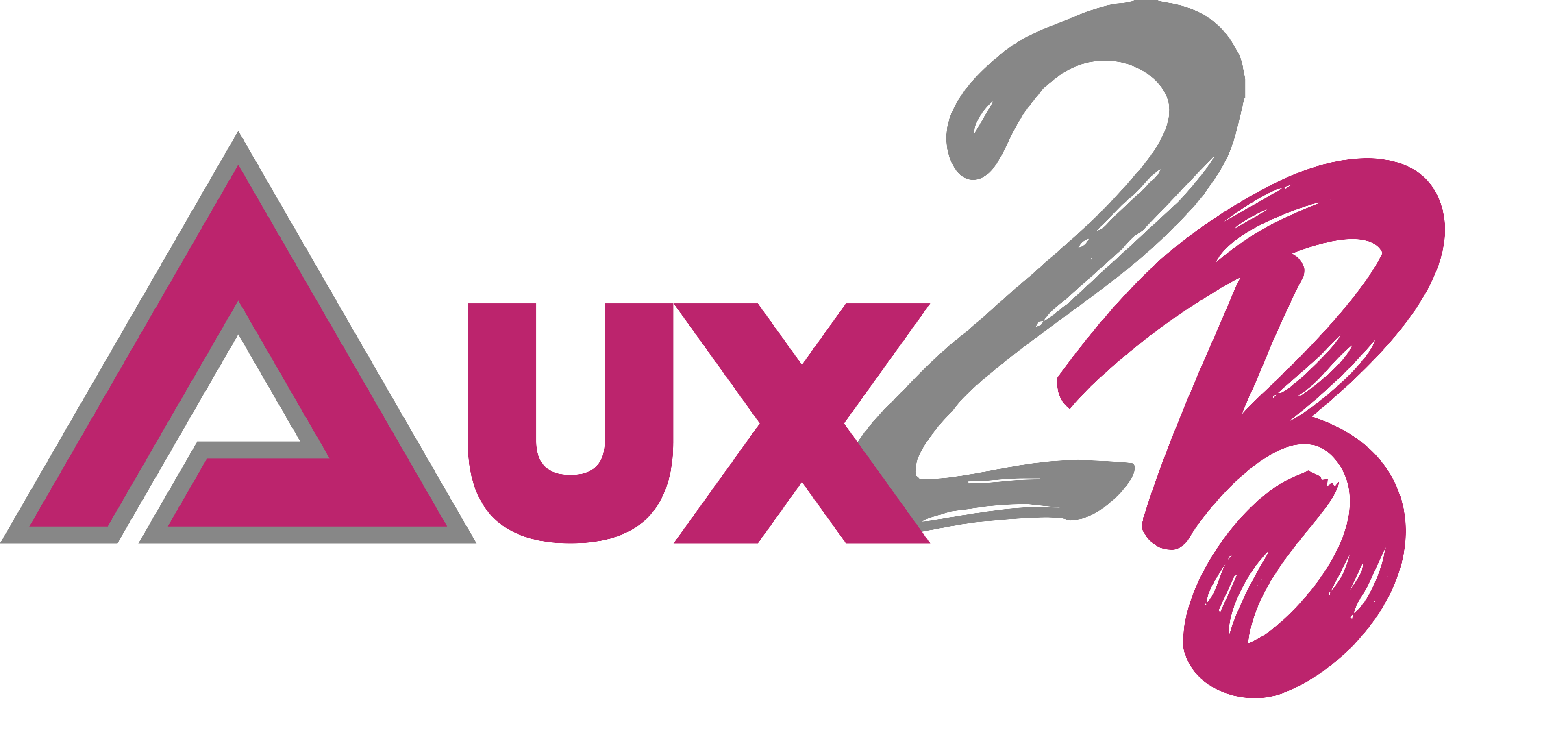 aux2b generique