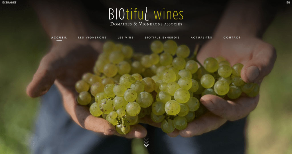 Biotiful Wines