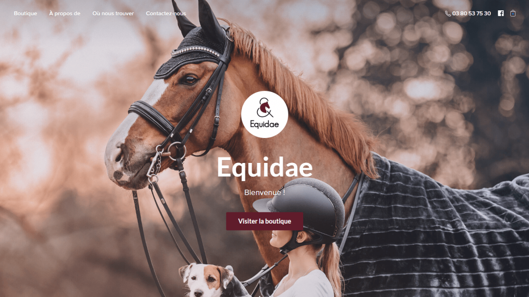 Equidae