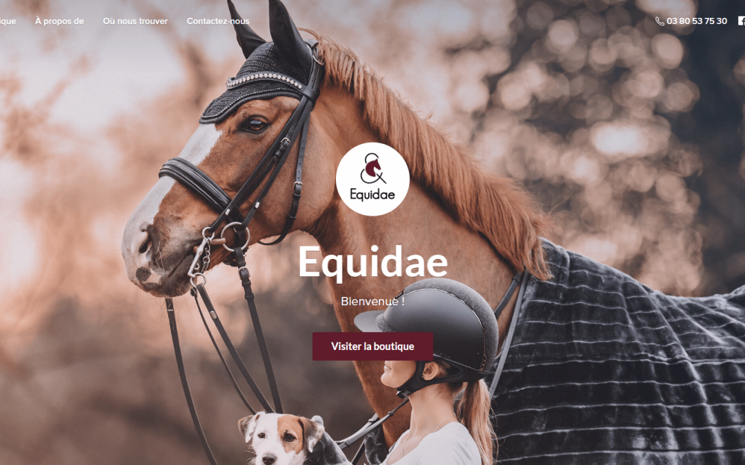 Equidae