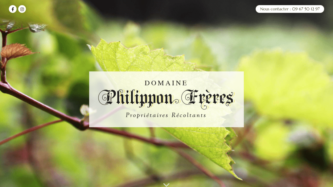 Domaine Philippon Frères