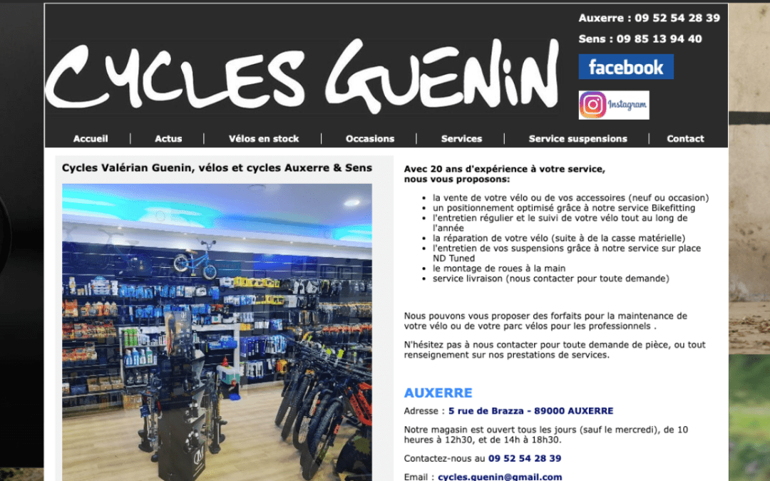 Cycles Guenin