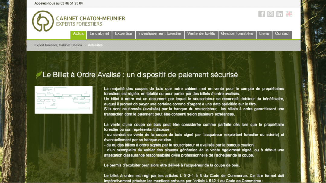 Conception d'un site internet pour Expert Forestier, Paysagiste