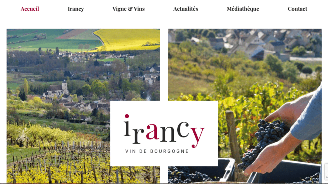 Conception du site internet du syndicat des viticulteurs d'Irancy